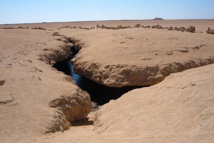 Half-Day Snorkeling at Ras Mohammed National Park from Sharm el-Sheikh photo 3