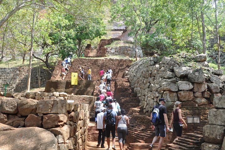 Private Day Tour to Sigiriya Rock & Dambulla Cave Temple from Negombo photo 6