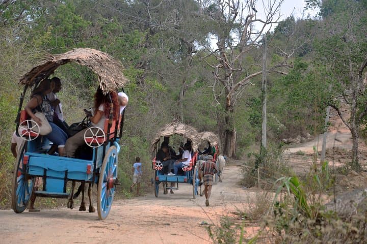 Sigiriya Village Tour from Negombo: Oxen Carts, Catamarans & Home-Cooked Sri Lankan Lunch