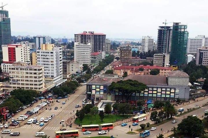 Half-Day Addis Ababa City Tour — Entoto Views, Lucy at the Museum & Mercato Markets photo 3