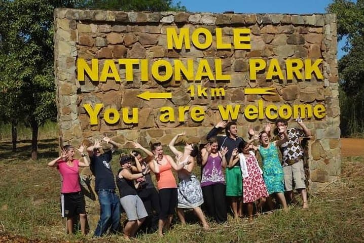 5-Day Wildlife Safari in Mole National Park & Boabeng-Fiema Monkey Sanctuary, Ghana photo 2
