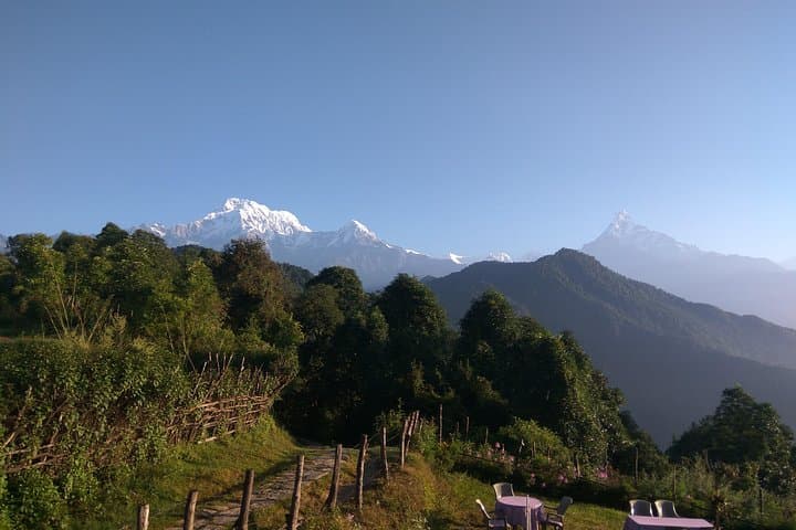 Mardi Himal Trek: 6-Day Teahouse Route to Mardi Himal Base Camp