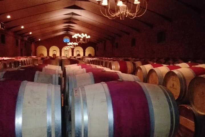 Private Wine Experience Around Stellenbosch: Finest Vineyards & Boutique Estates photo 5