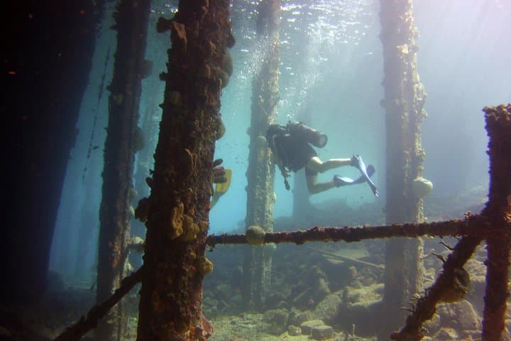 Discover Scuba Diving in Curacao — Beginner Guided Dives from Willemstad photo 5