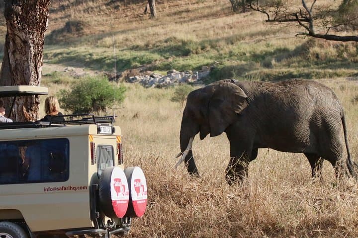 3-Day Serengeti & Ngorongoro Crater Camping Safari — Big Five Game Drives and Maasai Culture