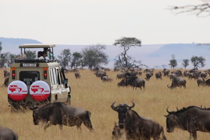 3-Day Serengeti & Ngorongoro Crater Camping Safari — Big Five Game Drives and Maasai Culture photo 4