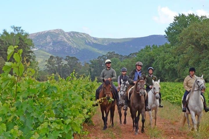 Horseback Riding Near Lisbon: Costa da Caparica Beach, Pine Forest & Arrábida Mountain (2-Hour Options) photo 5