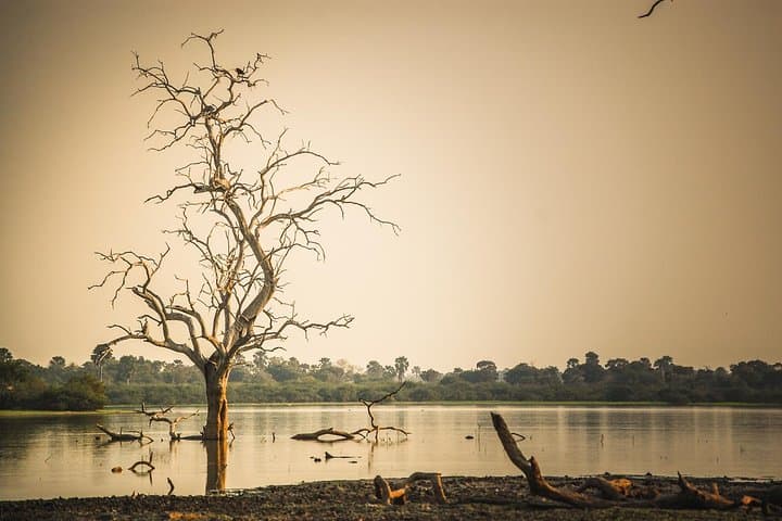 3-Day Selous Game Reserve Safari: Boat & Game Drives from Dar es Salaam