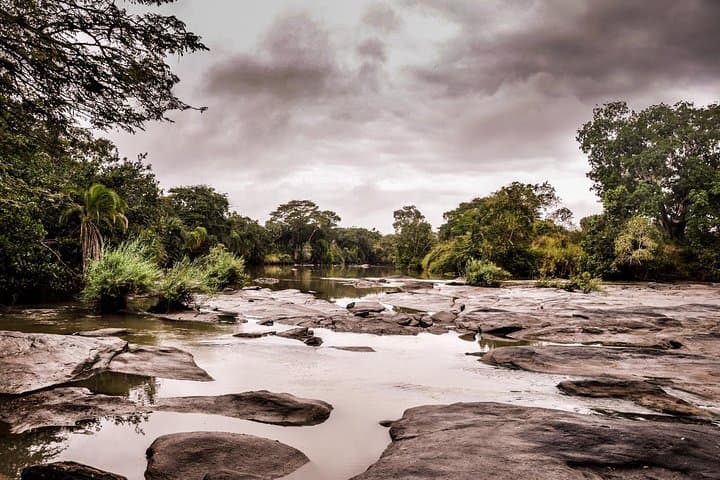 3-Day Selous Game Reserve Safari: Boat & Game Drives from Dar es Salaam photo 4