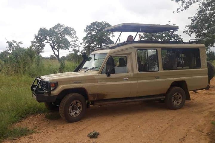3-Day Selous Game Reserve Safari: Boat & Game Drives from Dar es Salaam photo 6