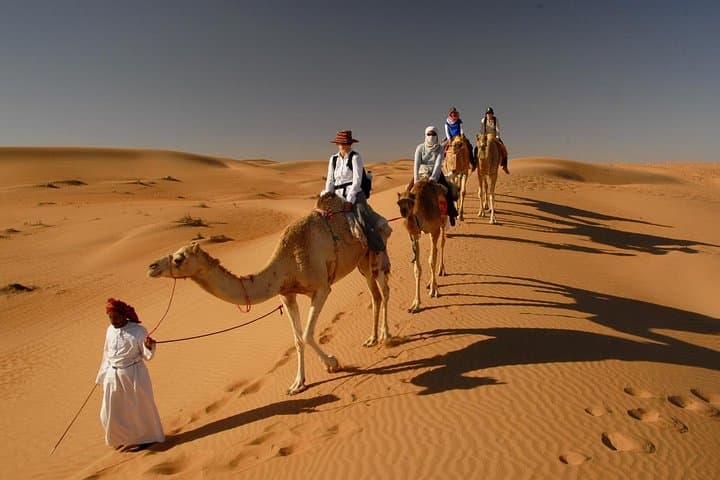 Dubai Desert Camel Trek: Morning Dune Bashing & Sandboarding Safari