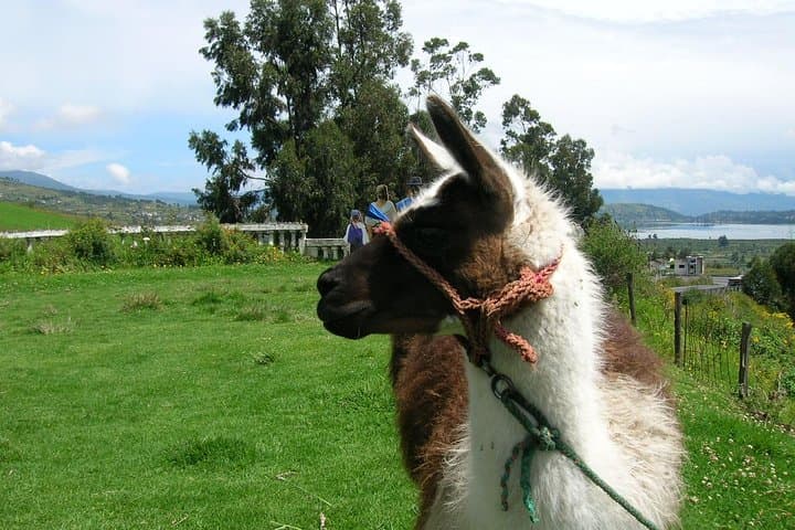 Otavalo Market & Peguche Waterfall Private Tour — Day Trip from Quito photo 2