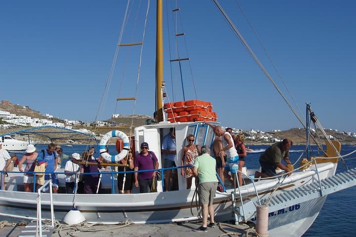 South Coast Cruise: Mykonos Beaches, Snorkeling & Lunch photo 5