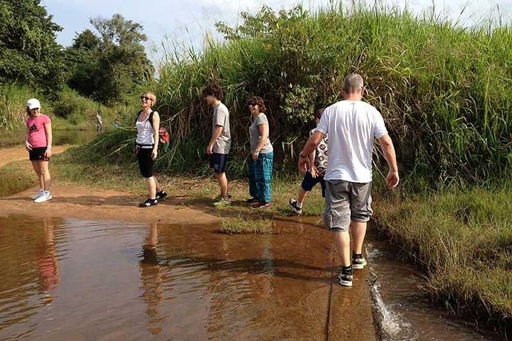 Village Trekking Tour Sigiriya: Authentic Sri Lankan Village Experience photo 6