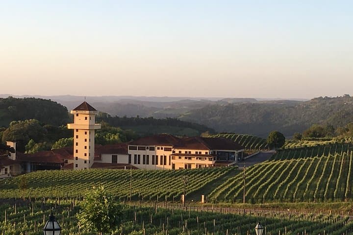 Private Wine & Culture Drive in Bento Gonçalves — Custom Car Tour for Up to 4