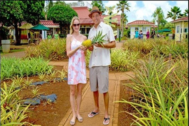 Pearl Harbor & Circle Island: Full-Day Tour from the Big Island photo 6