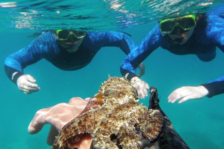 Isla de Lobos Water Taxi: Short Trips from Corralejo to a Protected Islet photo 6