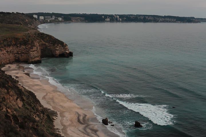 Birdwatching Quirilluca: Horcón Coastal Cliffs & Sea-Otter Walk photo 5