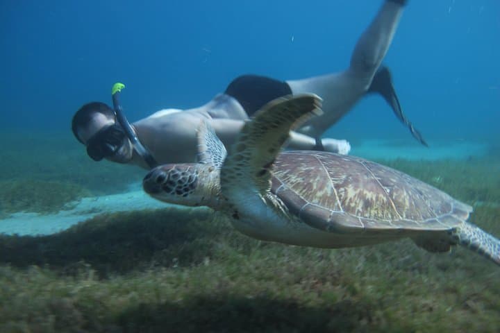 Catamaran Diving & Snorkeling Day Trip from Anses d'Arlet photo 5