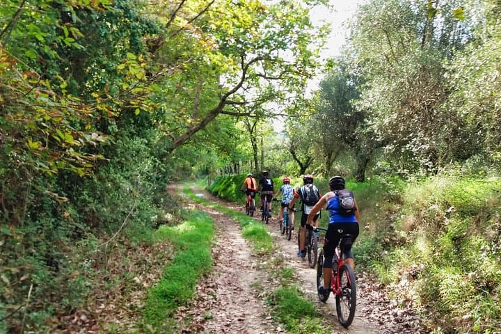 Eleftherna E‑Bike & MTB Tour: Explore Margarites, Gorges and Minoan Trails