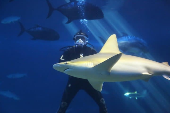 Inside Maui Ocean Center: Guide to Hawaii's Premier Aquarium photo 4