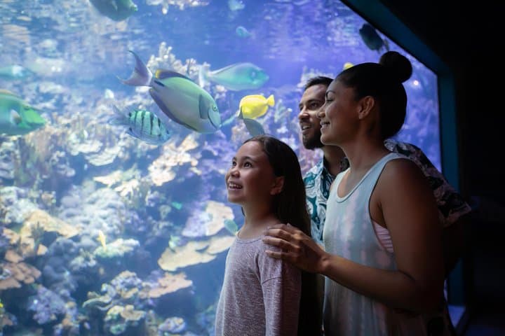 Inside Maui Ocean Center: Guide to Hawaii's Premier Aquarium photo 5