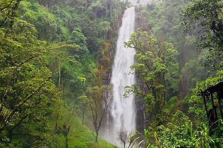 Full-Day Hiking Tour to Mount Meru Waterfall — Arusha Forest Trek