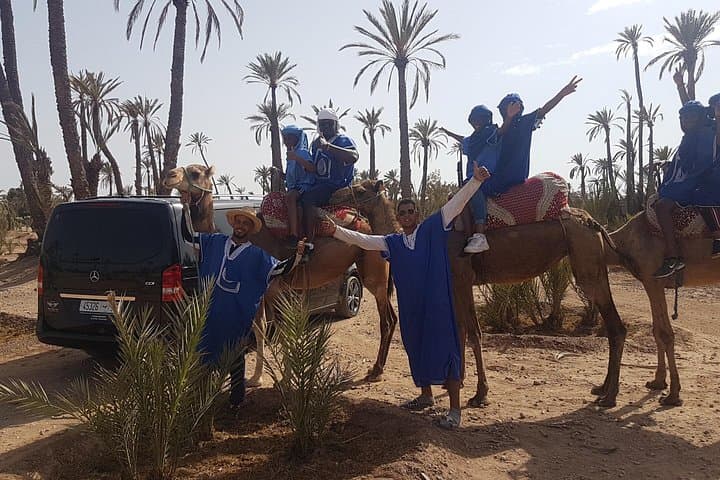 Marrakech Quad and Camel Ride in the Palmeraie: Half-Day Adventure from the City photo 2