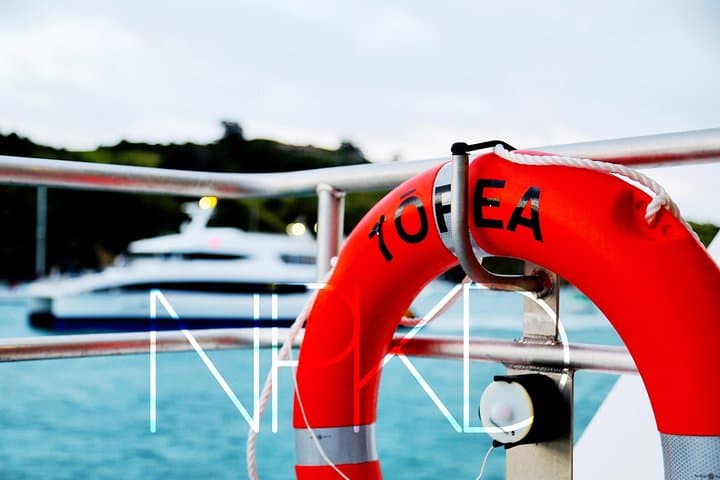 Auckland Harbour Cruise: 90-Minute Waitematā Harbour Sightseeing photo 4