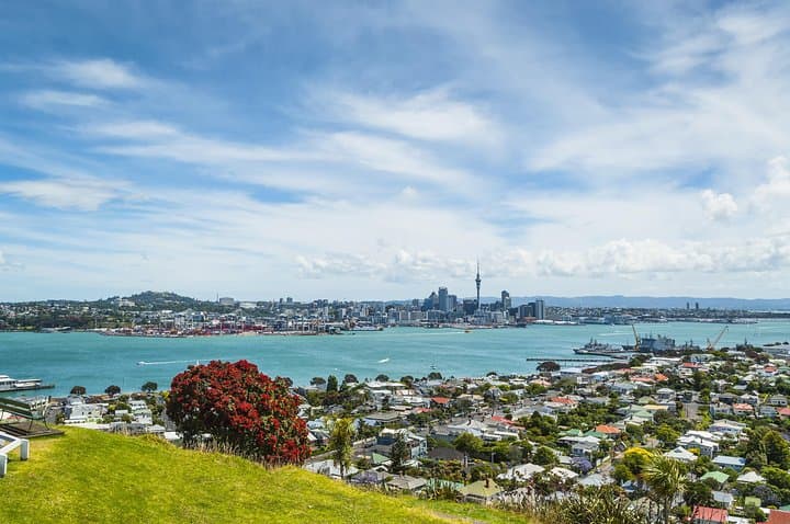 Auckland Harbour Cruise: 90-Minute Waitematā Harbour Sightseeing photo 6