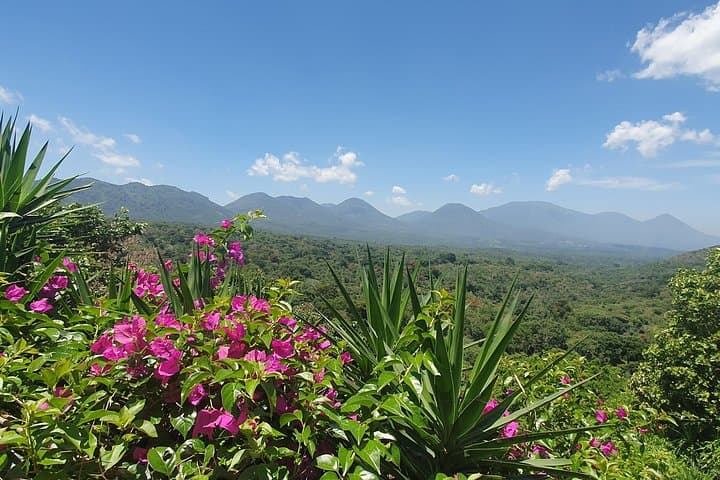 Ruta de Las Flores: Full-Day Tour of Four Colonial Towns and Coffee Farm