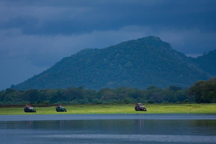 Udawalawe Safari from Ella — Jeep Safari to See Wild Elephants photo 6