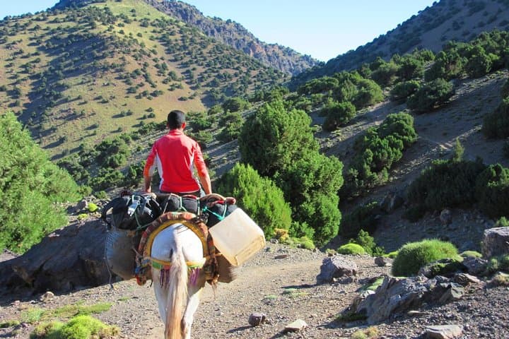 Red Valley (Azzaden) 2-Day Trek from Marrakech into the High Atlas photo 3