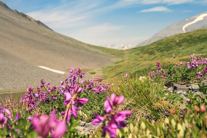 Red Valley (Azzaden) 2-Day Trek from Marrakech into the High Atlas photo 5