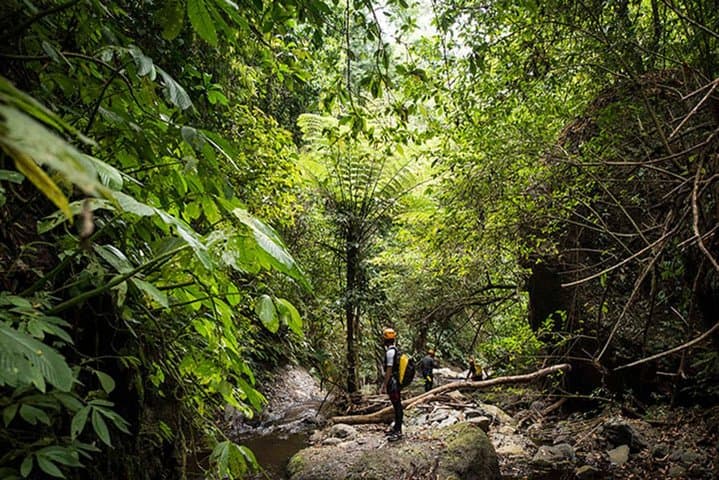 Tamata Canyoning: 5–6 Hour Waterfall Descent Near Ubud photo 3