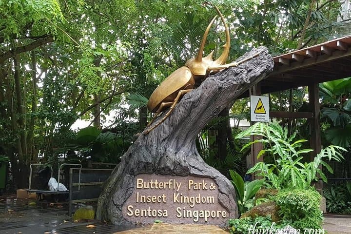 Sentosa Afternoon Tour: Butterfly Park, Images of Singapore & Madame Tussauds photo 4