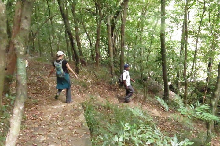 Riverston Highlands Hike from Matale — Riverston Peak & Mini World's End Day Trek photo 4