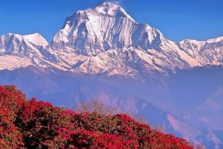 Poon Hill Sunrise Trek: Annapurna Panorama Trek from Pokhara photo 3
