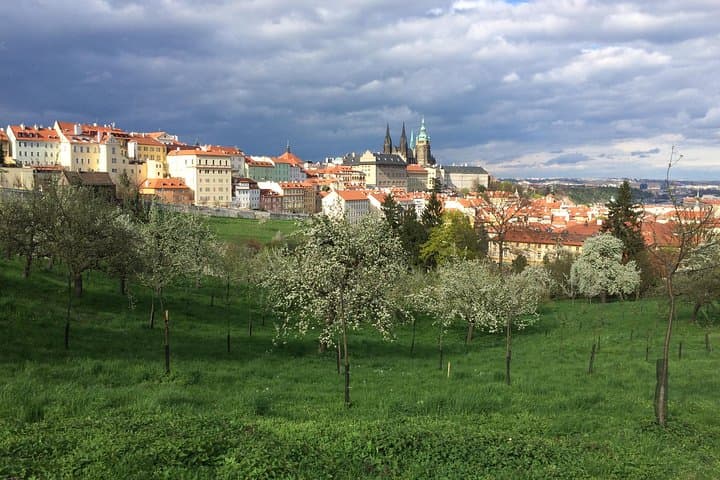 Prague Castle & Old Town: 3-Hour Walking Tour of Top Sights