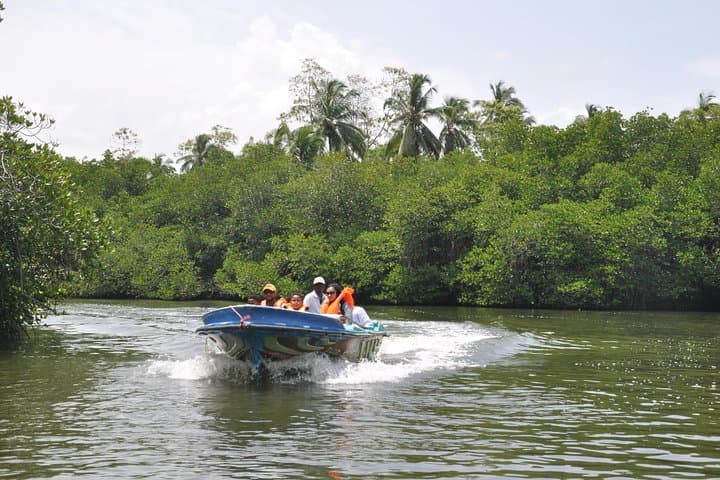 Lunuganga Estate, Meetiyagoda Moonstones & Madu River Day Tour from Mirissa photo 3