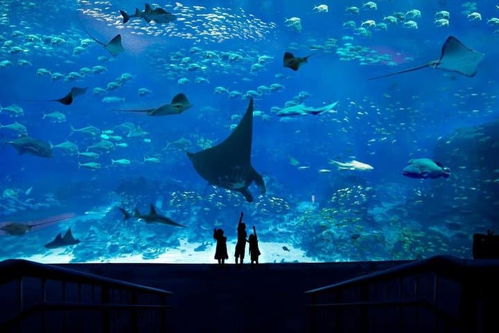 Universal Studios Singapore & S.E.A. Aquarium One-Day Combo — Sentosa Family Guide photo 2