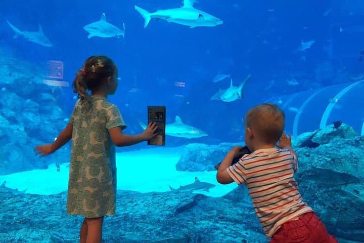 Universal Studios Singapore & S.E.A. Aquarium One-Day Combo — Sentosa Family Guide photo 5
