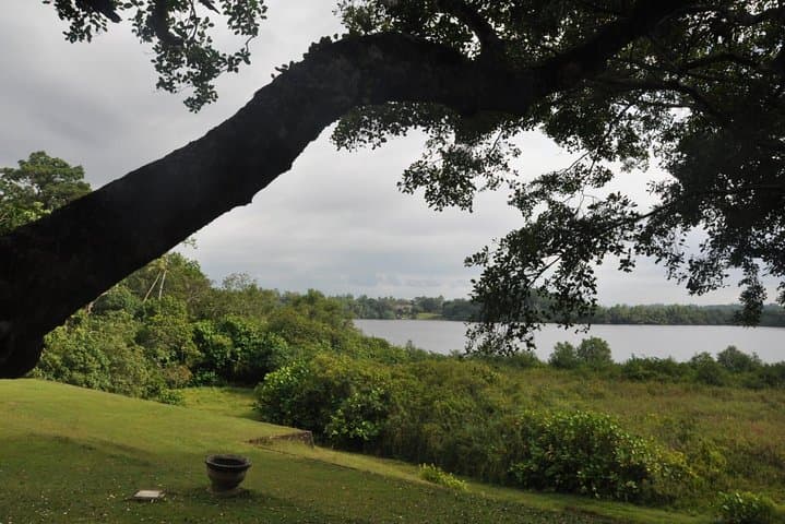 Lunuganga Estate, Meetiyagoda Moonstones & Madu River Day Tour from Mirissa photo 5