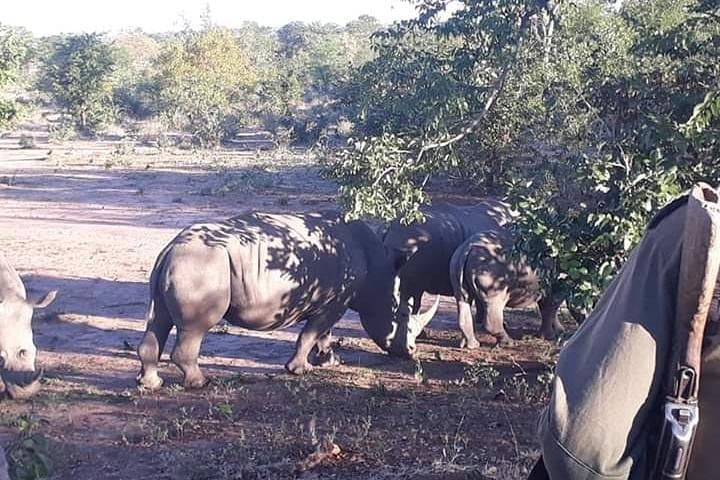 Victoria Falls Guided Tour and Rhino Walking Safari from Livingstone photo 6