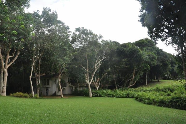 Bentota Day Trip: Lunuganga Estate, Meetiyagoda Moonstones & Madu River Boat Safari photo 6