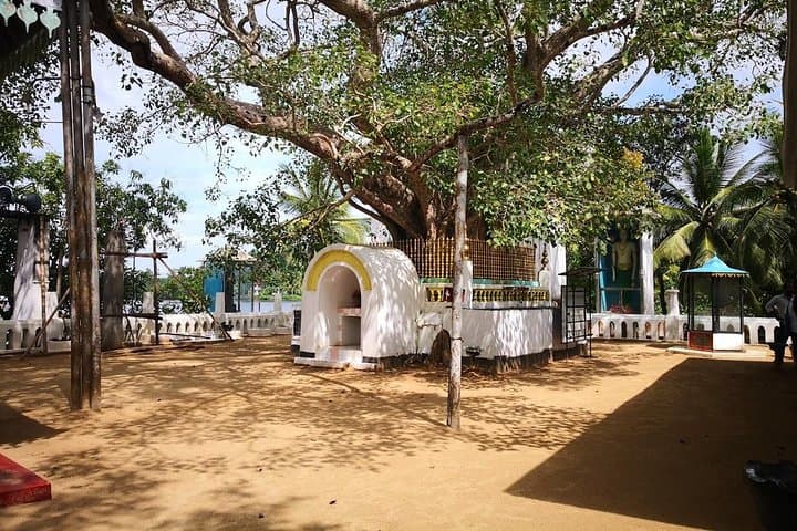 Coastal Ride to Galle: Negombo to Galle Fort, Madu River & Turtle Hatchery photo 2
