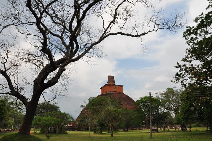 Day Trip to the Sacred City of Anuradhapura from Negombo photo 5