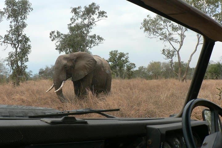 5-Day Selous & Mikumi Safari from Dar es Salaam photo 4