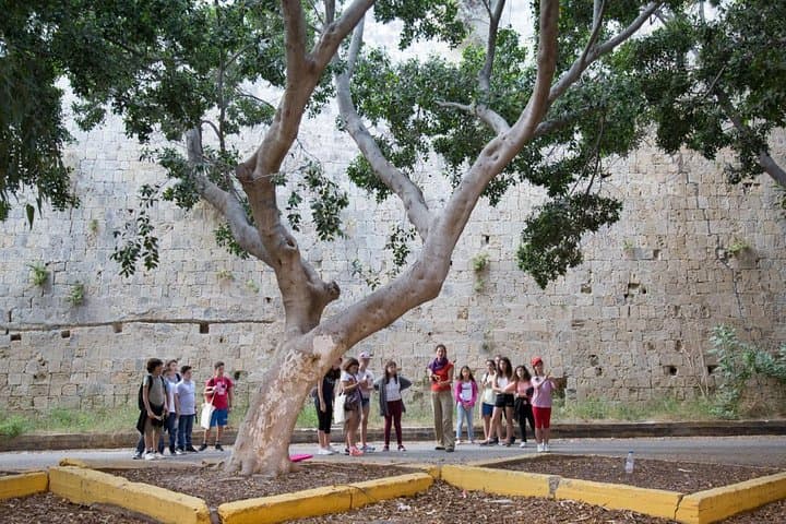 Heraklion Siege & Fall: Interactive Walking Tour of the Venetian Walls photo 2