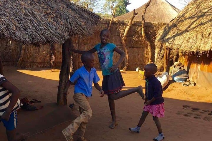Livingstone Village Tour: Royal Palace Visit & Craft Village Experience photo 3